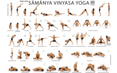 Lezioni gratuite Online di Samanya Vinyasa Yoga